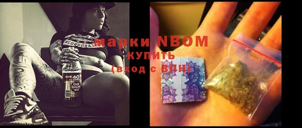 ПСИЛОЦИБИНОВЫЕ ГРИБЫ Баксан