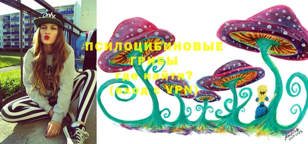 ПСИЛОЦИБИНОВЫЕ ГРИБЫ Баксан