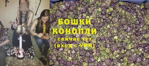 apvp Краснослободск