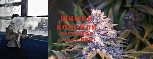 ПСИЛОЦИБИНОВЫЕ ГРИБЫ Баксан