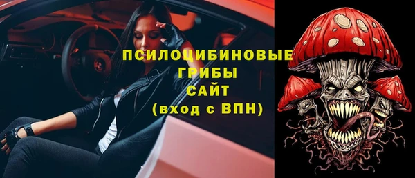 ПСИЛОЦИБИНОВЫЕ ГРИБЫ Баксан